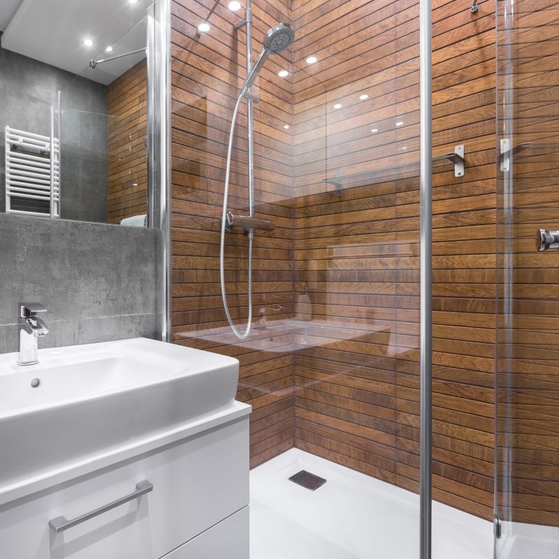 Walk-In Shower with Glass Walls