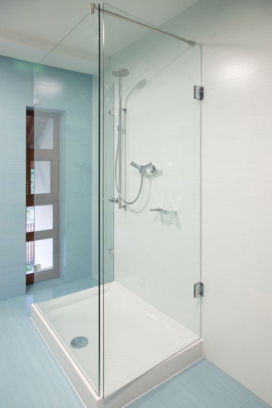 Contemporary Shower with Multi-Function Head